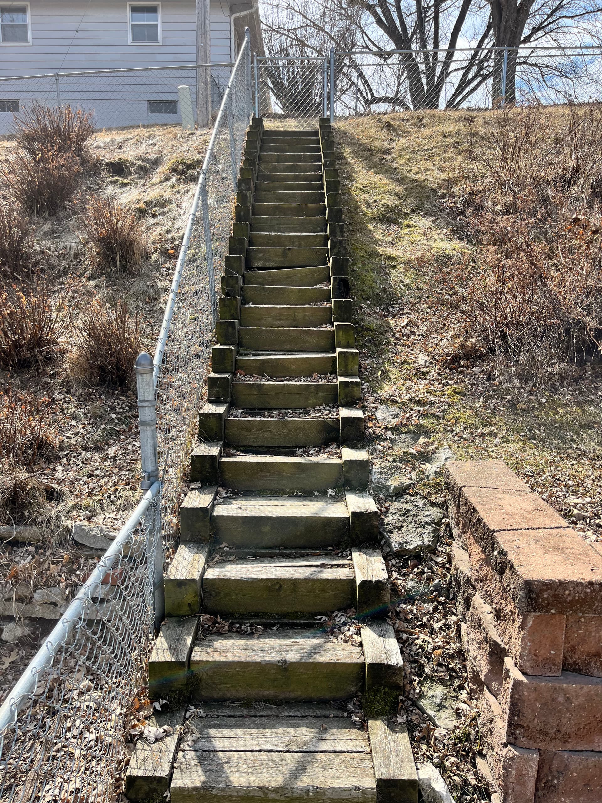 Gallery photos for Rotting Hillside Stairs Torn Out and Rebuilt From Scratch: Image #7
