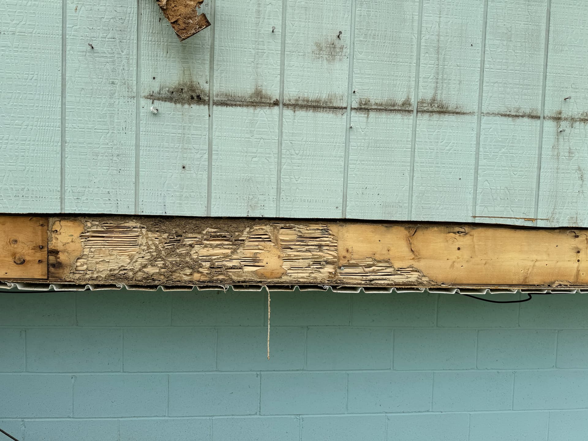 Gallery photos for Tornado Restoration Uncovers Severe Termite Damage in Elkhorn: Image #1