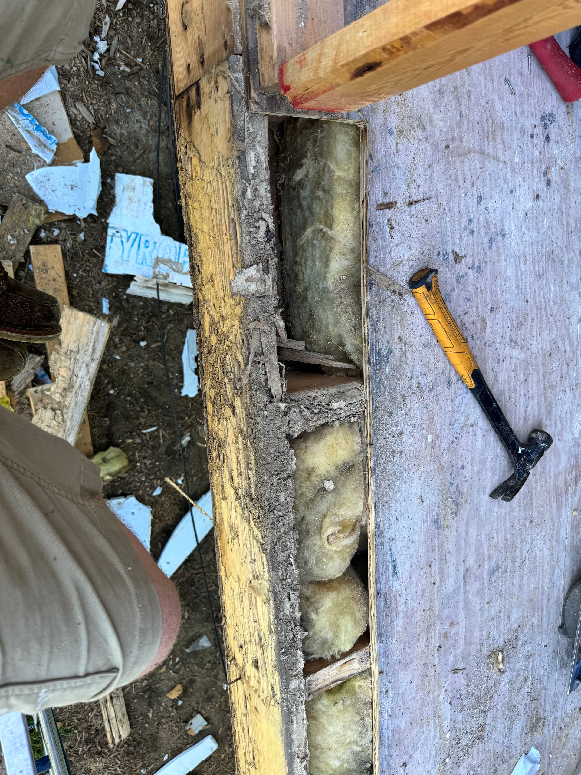 Gallery photos for Tornado Restoration Uncovers Severe Termite Damage in Elkhorn: Image #8