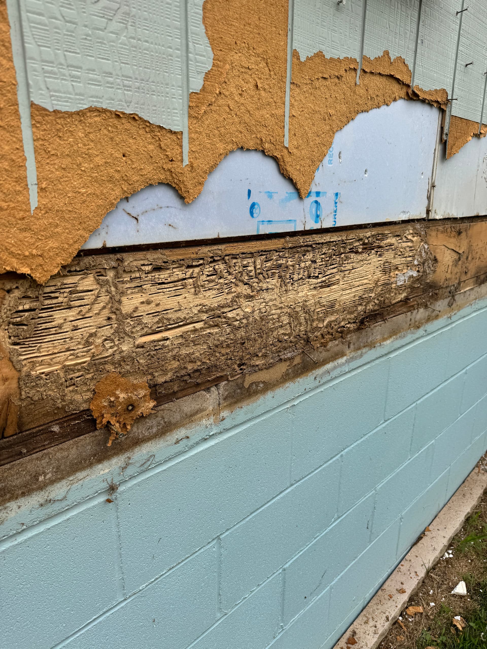 Tornado Restoration Uncovers Severe Termite Damage in Elkhorn