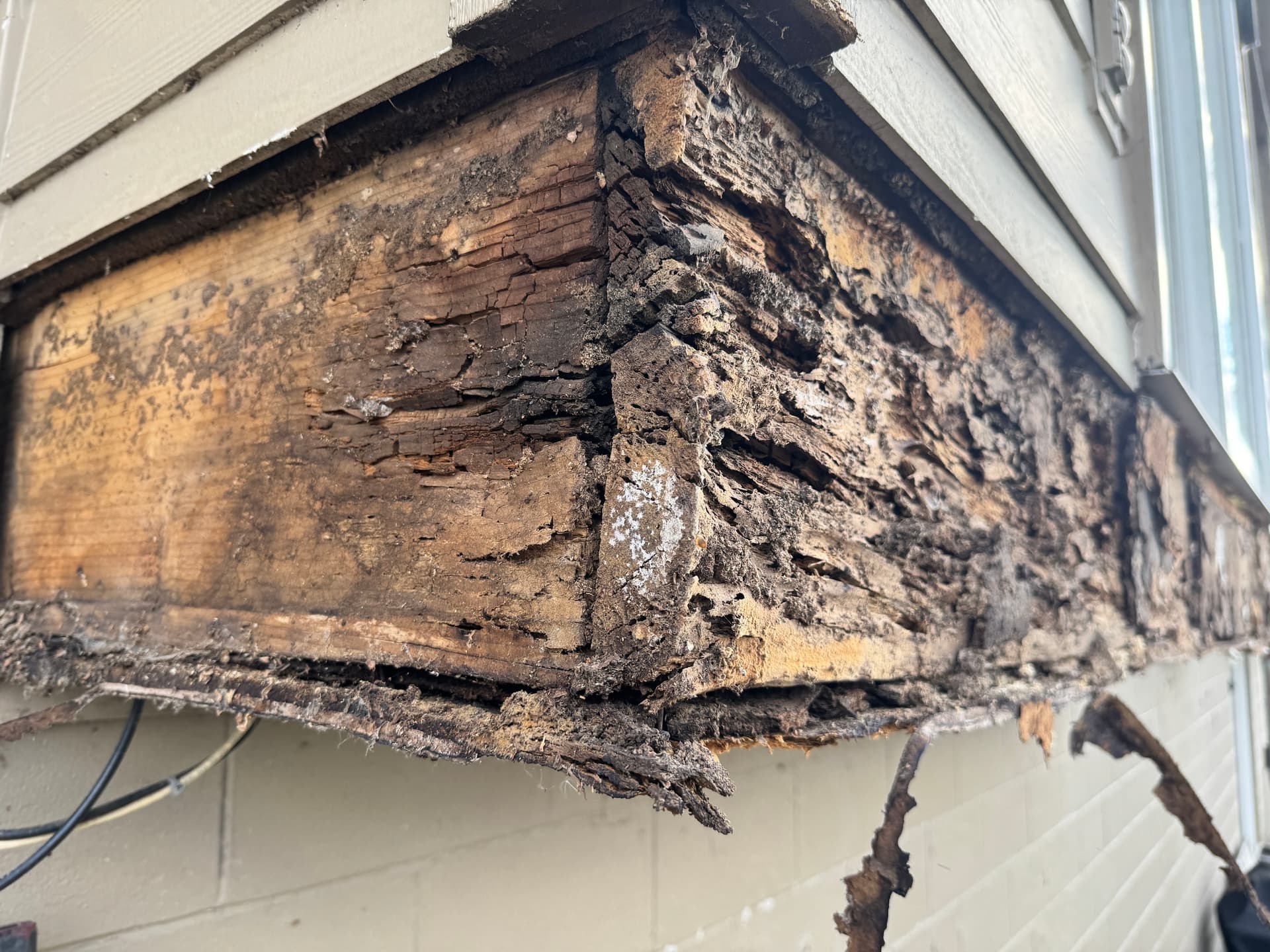 Gallery photos for Rotted Deck Torn Out and Rebuilt From the Ground Up: Image #3